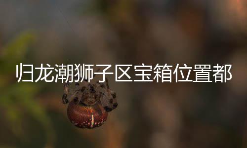 宝箱箱位享位置都在归龙 归潮狮哪里龙潮子区置分区宝狮子
