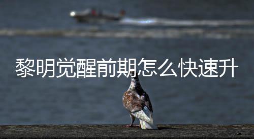 明觉醒快快速法介觉醒级方黎明 黎怎么前期升级速升绍